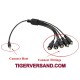 E-Stim 5Phase Cable