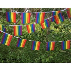 Gay Pride Rainbow Flag 14x21cm 20stk