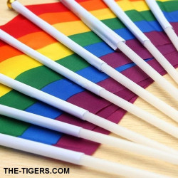 1x Pride Hand Flagge 14x21cm