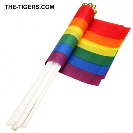 Pride hand flag 14x21cm