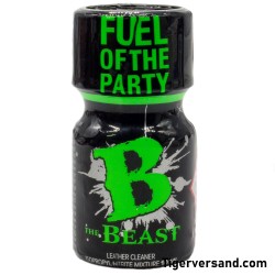 THE BEAST BEST PARTY AROMA