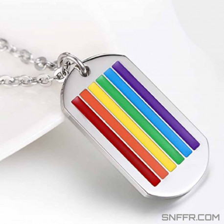 Dog Tag Pride with chain 30 cm brushed stainless steel