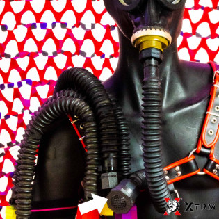 XTRM SLAVE CONTROL||Tigerversand – we reply fast, even faster via WhatsApp! Fastest shipping from our warehouses in Germany and Switzerland.|Start
