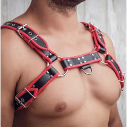 Real Leather Red-Black Harness