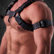 Titan Harness Black