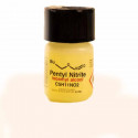 ab  6,99 € Iso PENTYL der geilste Kick aus der Dose