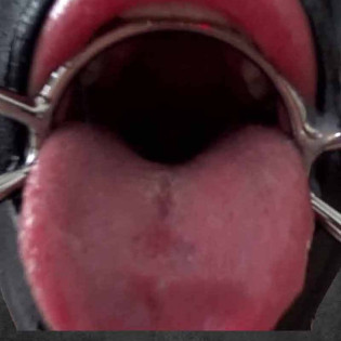 DEEP GAG Max|TOY PLAYER|Tigerversand – we reply fast, even faster via WhatsApp! Fastest shipping from our warehouses in Germany and Switzerland.|Mundknebel Gag