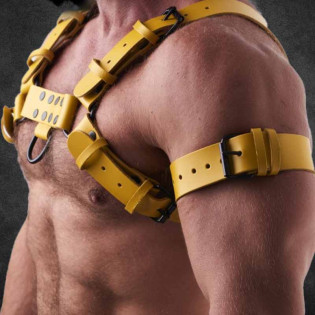 BDSM & Accessories|Tigerversand – we reply fast, even faster via WhatsApp! Fastest shipping from our warehouses in Germany and Switzerland.