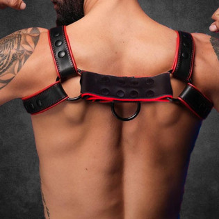 Titan BDSM robuster Harness Red/Schwarz|SAXOS.NET LEATHER|Tigerversand – we reply fast, even faster via WhatsApp! Fastest shipping from our warehouses in Germany and Switzerland.|BDSM Harness