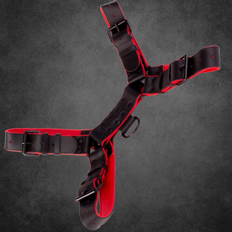 titan-robuster-bdsm-harness-red-black-saxos-net-leather-tv