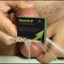 Volume 500 for more sperm|TOY PLAYER|Tigerversand – we reply fast, even faster via WhatsApp! Fastest shipping from our warehouses in Germany and Switzerland.|sexual enhancer