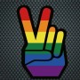 Pride Peace Sticker Aufkleber 8,9 x 12,7cm||Tigerversand – we reply fast, even faster via WhatsApp! Fastest shipping from our warehouses in Germany and Switzerland.|Gaypride