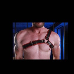 Bull-Chest Harness