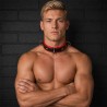 BDSM HALSBAND AUSTRIA|® XLeathers|TV|BDSM Fesseln