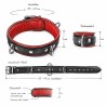 BDSM HALSBAND AUSTRIA|® XLeathers|TV|BDSM Fesseln