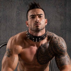 Mammoth Echtleder Collar mit Spikes|® XLeathers|TV|Start