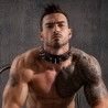 Mammoth Genuine Leather Collar with Spikes|® XLeathers|TV|Lancement