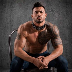 Mammoth Genuine Leather Collar with Spikes|® XLeathers|TV|Lancement