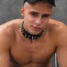 Mammoth Echtleder Collar mit Spikes|® XLeathers|TV|Start