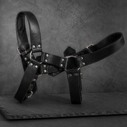 XLS Leather Studded Harness|® XLeathers|TV|BDSM Harnas