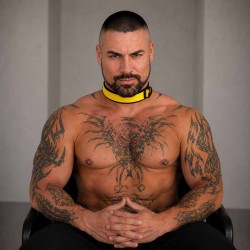 Puppy neoprene yellow collar with D-ring|665|TV|Bondage BDSM