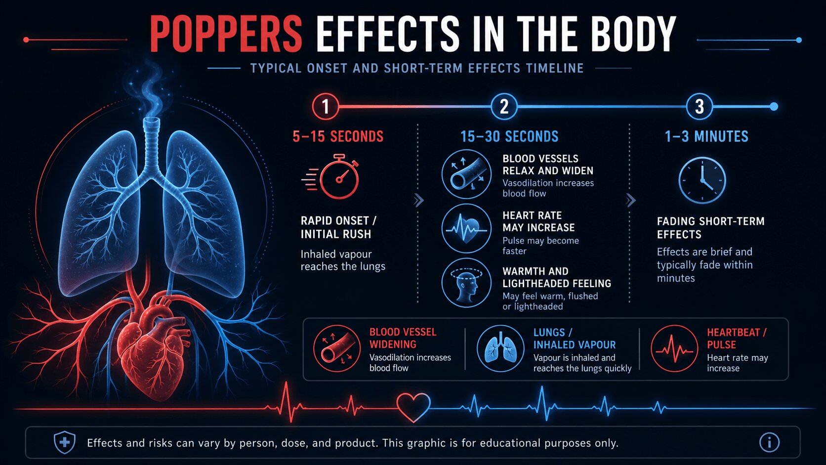 Infographic showing the timed effects of poppers in the body