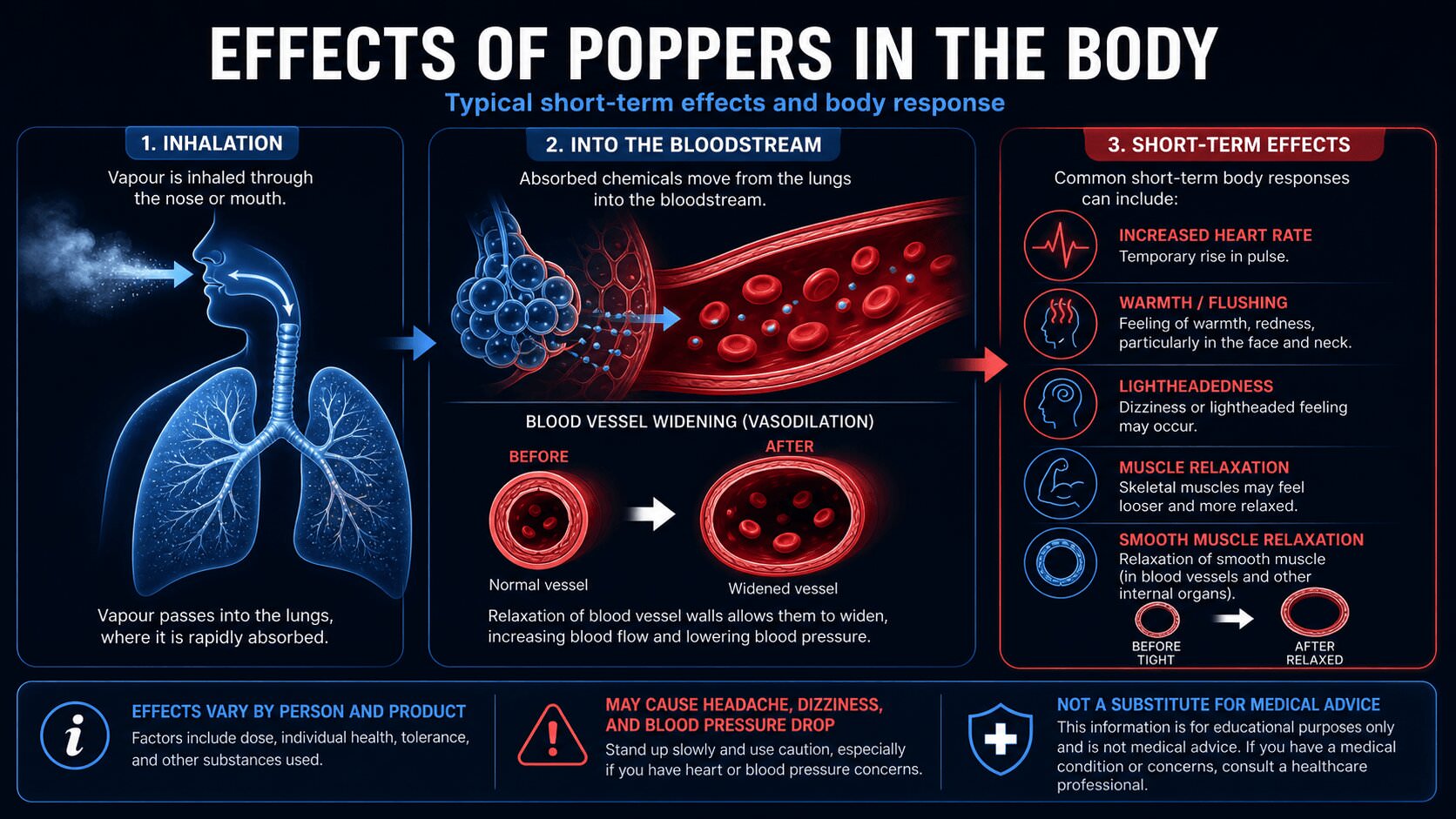 Infographic showing poppers effects via lungs, bloodstream and blood vessels