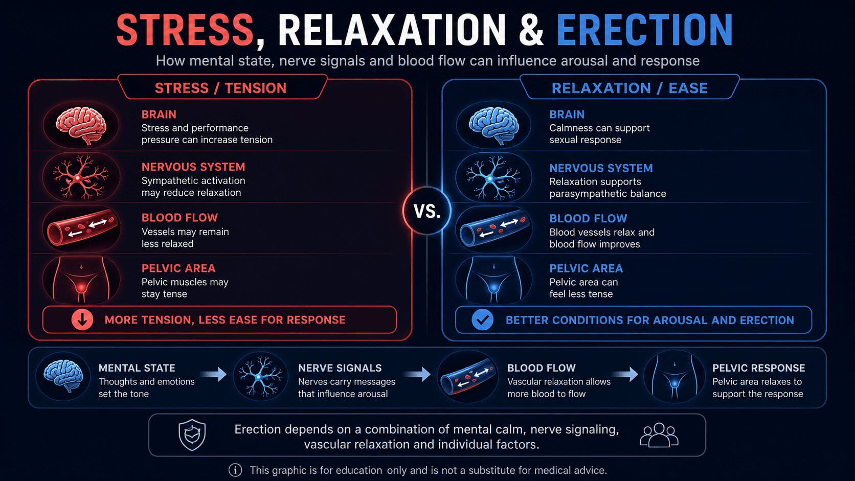Infographic about relaxation, blood flow and erection with poppers