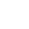 Iron Fist